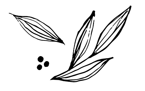 Association Samara
